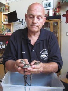 Phoenix reptile rescue center