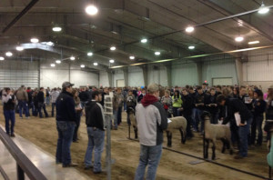 Nearly 500 students from 36 area high schools attended an FFA District Livestock Judging Contest at Northeast Community College’s Chuck M. Pohlman Agriculture Complex. The top 50-percent of the teams in the recent district contest qualified for the state competition, which will be held during the Nebraska FFA Convention in Lincoln in April.